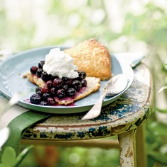 Gingered Blueberry Shortcake < 100 Healthy Dessert Ideas - Cooking Light