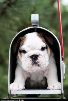 I would be the happiest person on earth if I found this in my mailbox. Seriously. Gimme.