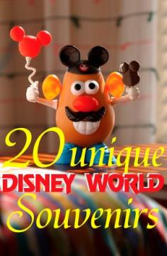 20 unique Disney World souvenir ideas ... I especially like the making your own shirts one we could do Van Patten Family vacation shirts but everybody could pick the character they like