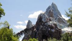 The secret to avoiding crowds at Walt Disney World: blog.undercoverto... #Travel #Disney