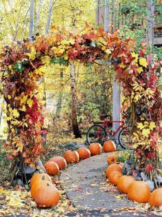 pumpkins up the driveway...