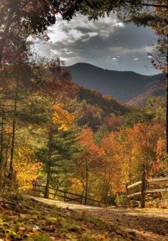 Autumn road