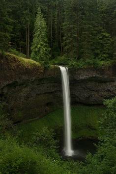 Silverfalls State Park, Oregon, USA