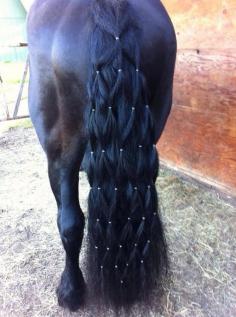 I've done this with my horse's mane, but it never even occurred to me to do this with her tail... cool horse diamond braid.