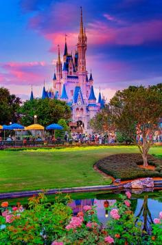 Magic Kingdom.