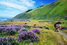 Humboldt Lost Coast