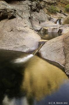 colorado springs punch bowls