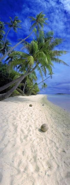 Beach walkers paradise...