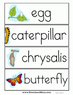 Butterfly Preschool Printables: Lifecycle, Charts, Learning Centers, Games, Worksheets and more