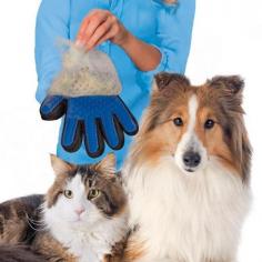 Washing Glove for Dog & Cat - My Pet