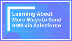  This is one of the prime reasons why Salesforce texting has been gaining pace in recent years. The combined interests of people as organizations as well as the audience has led driving to this huge change.