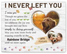 Preserve the love with a Dog Memorial Canvas from PICOONAL. Visit their store today and cherish the memories forever. 

https://www.picoonal.com/collections/pet-memorial