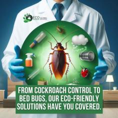 "We're your go-to solution for all your pest woes! Our team of experts is here to give your home, office, apartment, or building a thorough pest makeover, and we do it without breaking the bank. If you need swift and dependable pest control, don't hesitate to reach out to us. Let us be your pest-fighting superheroes!

Eco Global Pest Control specializes in the art of identifying and managing termites. We've got a squad of highly trained consultants who excel at termite inspections and can provide you with top-notch advice on tackling these tiny terrors. Whether you're dealing with termites, cockroaches, or any other pesky problem, Eco Global Pest Control Melbourne is your trusted source for professional and high-quality service.

When it comes to our commercial clients, we're no slouch either. We've got an impressive portfolio and take pride in using cutting-edge technology and best-in-class practices to cater to their needs. Our experience spans various sectors like transportation, healthcare, defense, education, retail, and food manufacturing. At Eco Global Pest Control Melbourne, we're dedicated to creating safe and eco-friendly extermination solutions. We hold fast to our core values of integrity, exceptional customer service, stringent quality control, safety, and continuous learning in the industry. Your pest problems are our business, and we're here to tackle them head-on!

