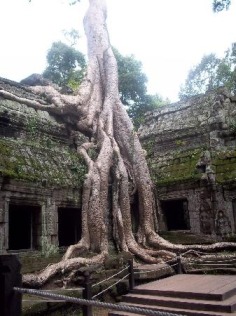 Cambodia Pictures - Traveller Photos of Cambodia, Asia - TripAdvisor