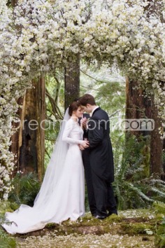 US $366.69Gorgeous Sheath/Column V-neck Long-Sleeve Wedding Dresses Inspired by Bella in Twilight