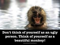 beautiful monkey quote