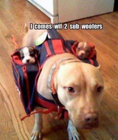 SubWoofers funny quotes