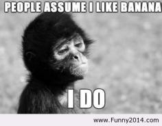 Monkey stereotype Funny Pic