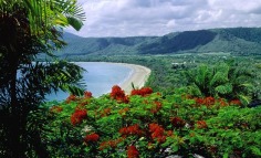 Port Douglas Tourism: 92 Things to Do in Port Douglas | TripAdvisor