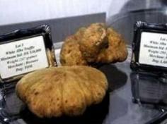 World’s Most Expensive Truffles