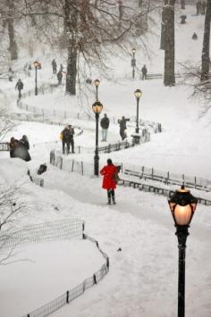 Snowy Central Park, NYC