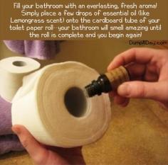 Wow! Smart, sneaky, awesome I am doing this for sure!! Keep a fresh scent in your bathroom with a few drops of  scented oils inside the toilet paper roll