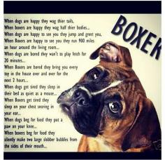 Boxers.. This is so true!  Especially blowing the two bubbles.