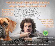 Kennel Cough Vaccine Exposed  By Dr. Peter Dobias. Holistic approach to kennel cough prevention