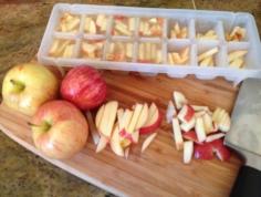 An inexpensive and easy summer treat for dogs: Cut up apples in chicken broth and freeze in an ice cube tray. | 38 Unexpectedly Brilliant Tips For Dog Owners