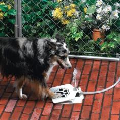 The dog water fountain turns drinking water into a game. | 28 Ingenious Things For Your Dog You Had No Idea You Needed