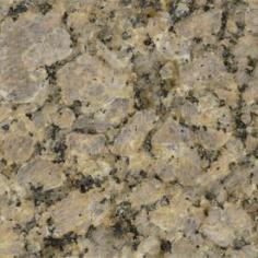 SenSa�2-in W x 3-in L Outono Granite Countertop Sample