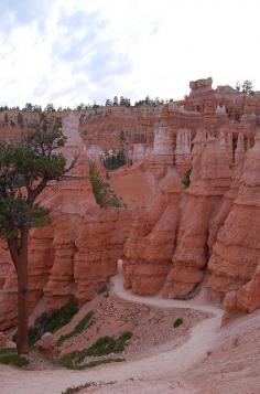 Bryce Canyon National Park, Utah; photo by poketo