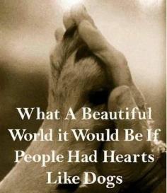 What a beautiful world it would be if people had hearts like dogs