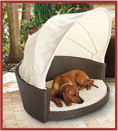 Outdoor Canopy Dog Bed