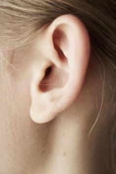 What to Do If an Insect Flies Into Your Ear. NEVER sleeping again, thanks!