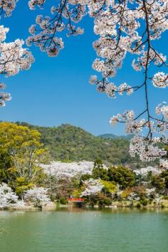 Daikaku-ji,Kyoto, Japan