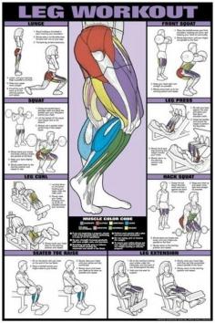 Leg Workout