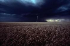 Lightning flash above a Kansas wheat field. Credit: Cotton Coulson