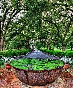 at Oak Alley Plantation in Vacherie, Louisiana