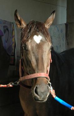 heart shaped spot