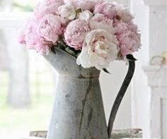 metal jug and peonies