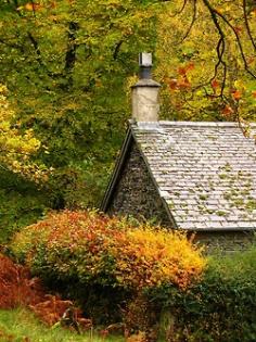 Mannesty, Borrowdale ~ Lake District, England