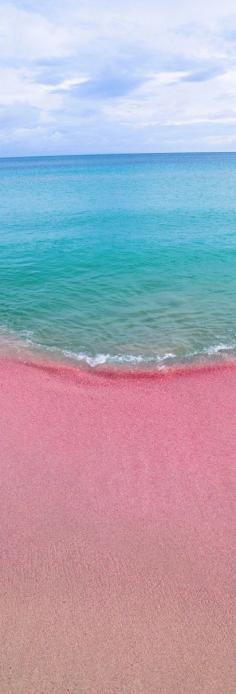 Pink sand beach, Bermuda