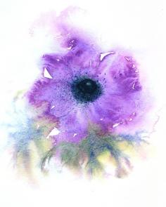 Saatchi Online Artist: Jacki Stokes; Watercolor, Painting "Anemone"