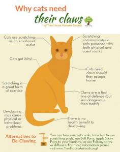 Don't declaw