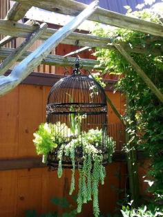 DIY Bird cage idea for garden planter - Vogelkooi Planten Hangplanten ♥ Doe Het Zelf! #Fonteyn