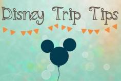 12 Disney Trip Tips: Traveling to Walt Disney World for the First Time?  Check out our 12 Disney Trip Tips!