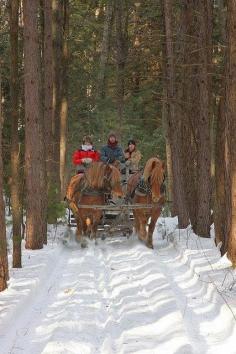 Winter Sleigh Ride