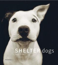 Shelter Dogs by Traer Scott smile.amazon.com/...