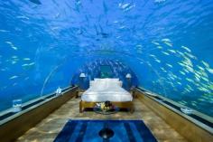 Poseidon Undersea Resort on the Fiji Islands. Spend the night 40 feet below the surface in a Fijian paradise.